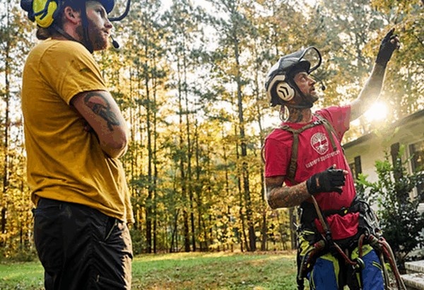 Tommy reviews tree removal plan with team member Ben.