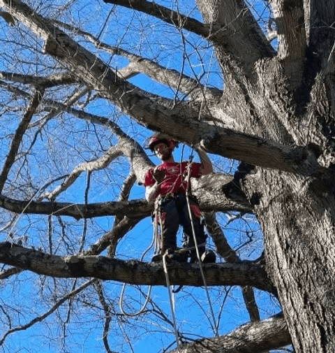 E56126E2-4AB8-4001-8C74-B466769ADC72_edited