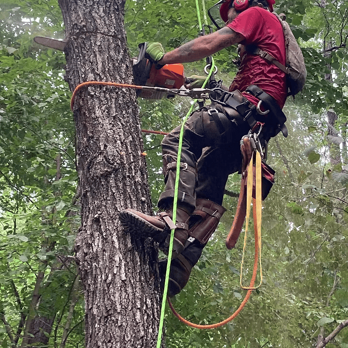 f65ede_9015f419e3a14602aecd16eac7943a2amv2