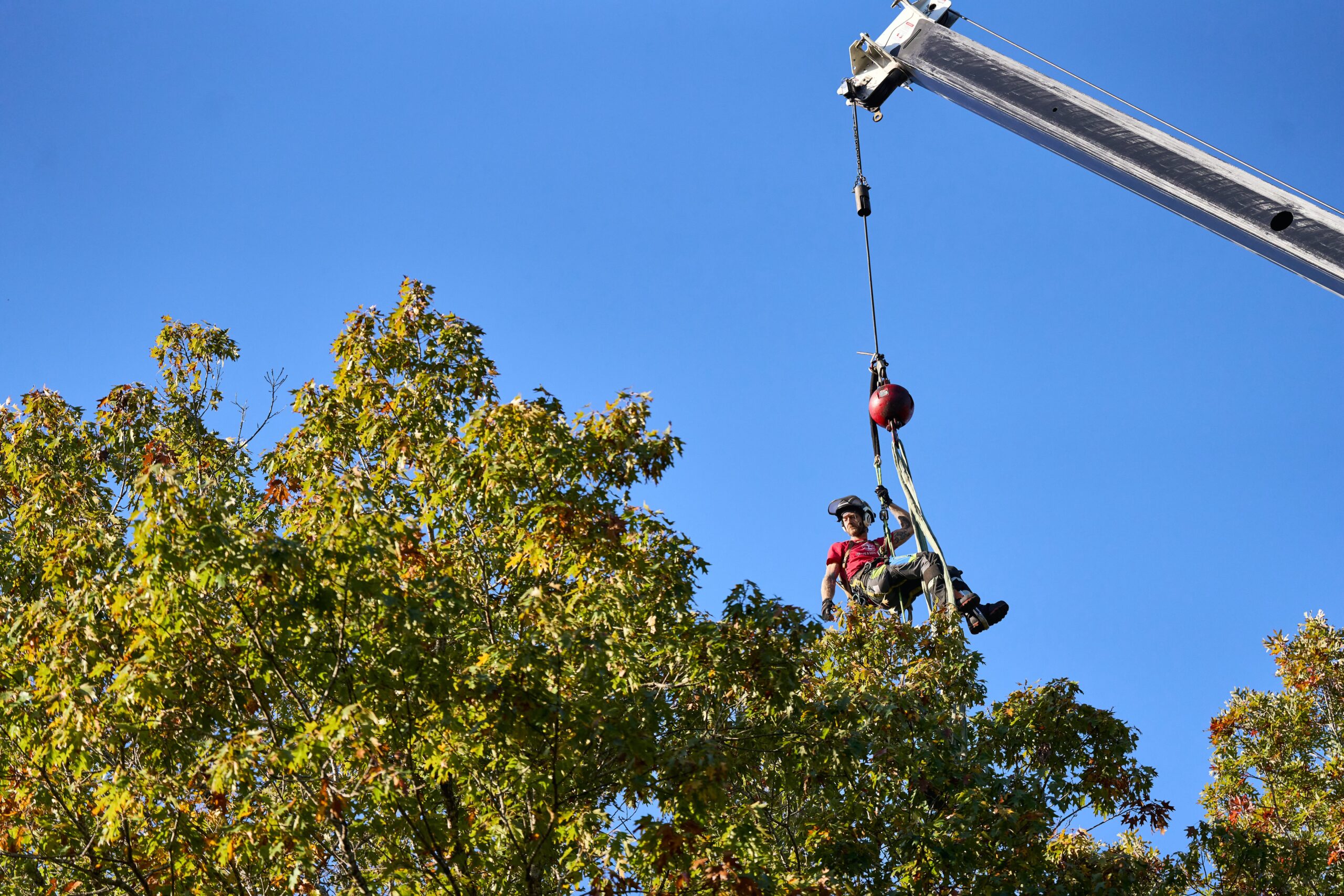 LUBBERS AND SONS_36 Tommy prepares for a crane-assisted tree removal.