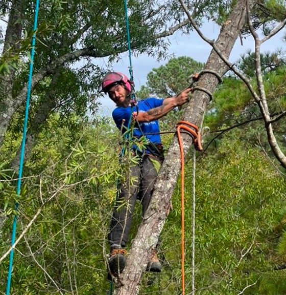 Weight Reduction & Risk Mitigation