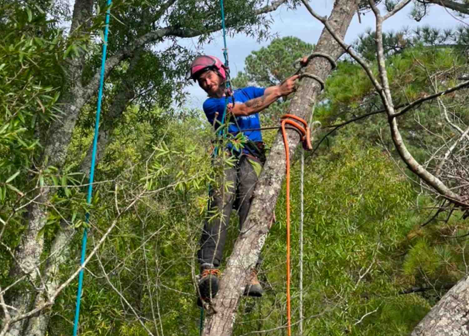 Weight Reduction & Risk Mitigation