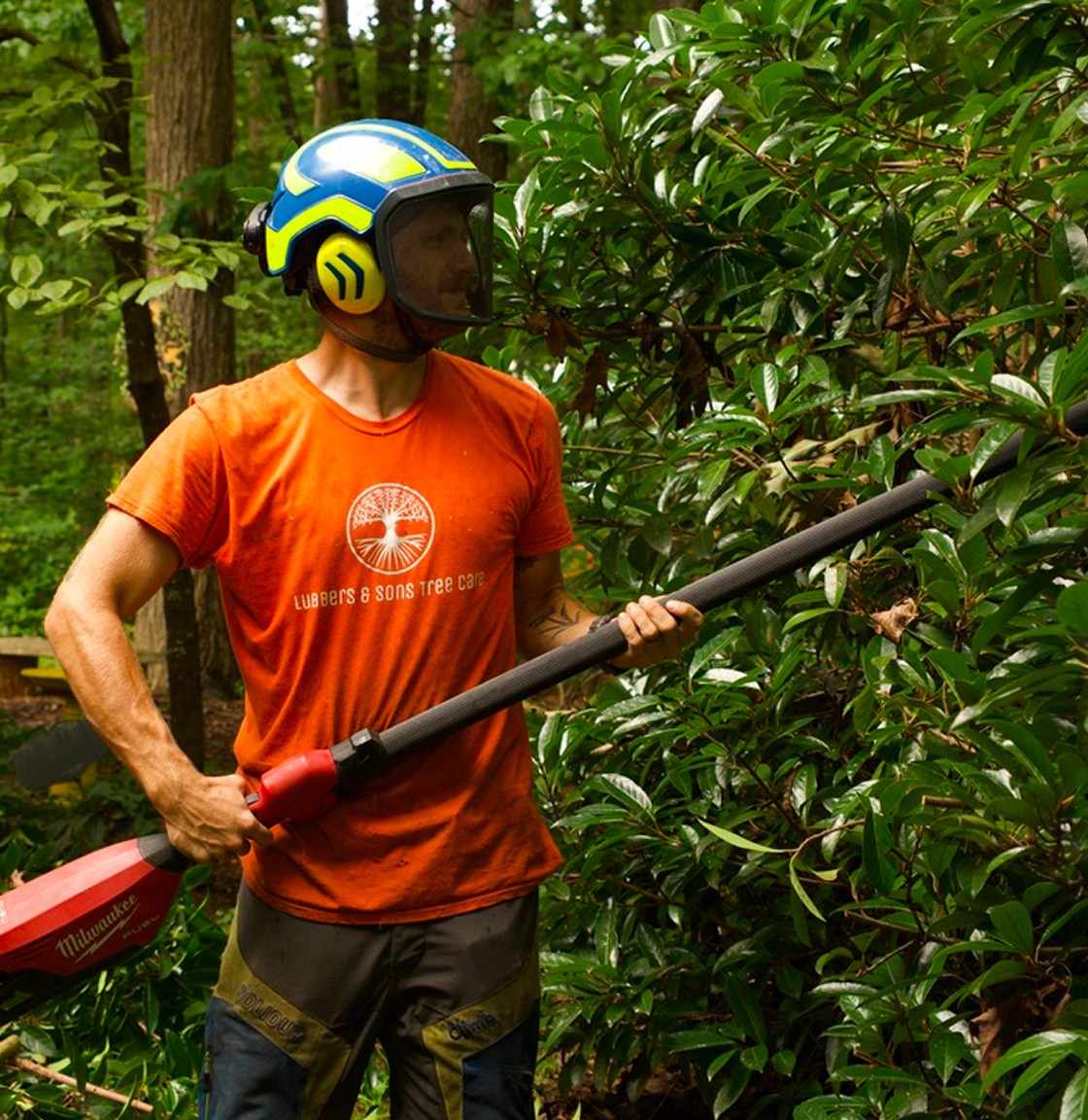 Shrub & Hedge Trimming Shrub & Hedge Trimming