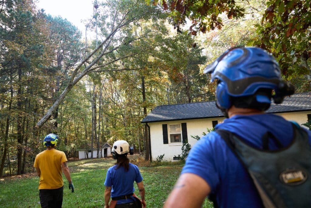 Crain Assisted Expert Tree Removal in Central North Carolina