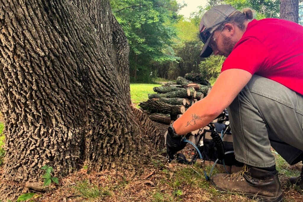 ISA Certified Arborist Consultations North Carolina Lubbers and Sons Tree Care Professional Plant Health Care