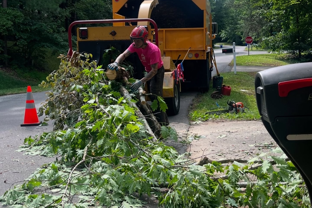 Safety Zone Chipper Truck Expert Tree Removal in Central North Carolina
