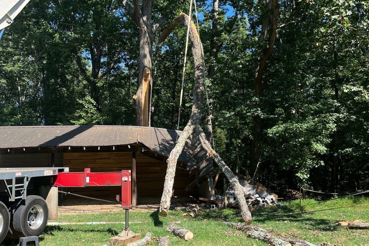Emergency Fallen Tree Removal in North Carolina Lubbers and Sons Tree Care