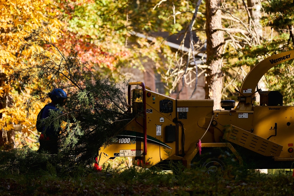 Expert Defensible Space Removal North Carolina Lubbers and Sons Tree Care