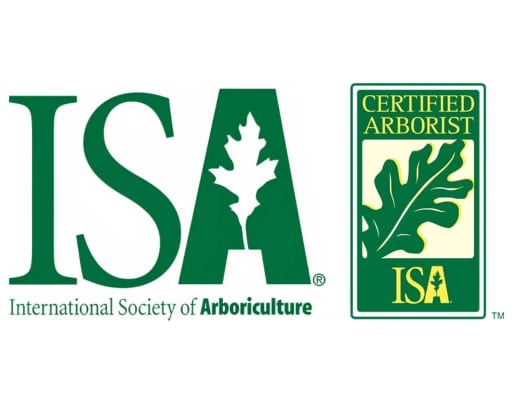 ISA Certified Lubbers and Sons Tree Care