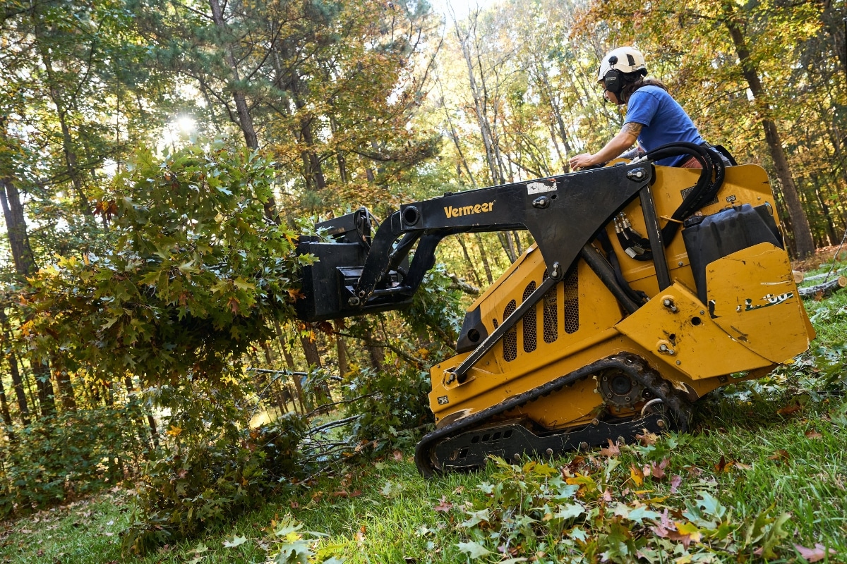 Local Fire Defensible Space Services North Carolina Lubbers and Sons Tree Care