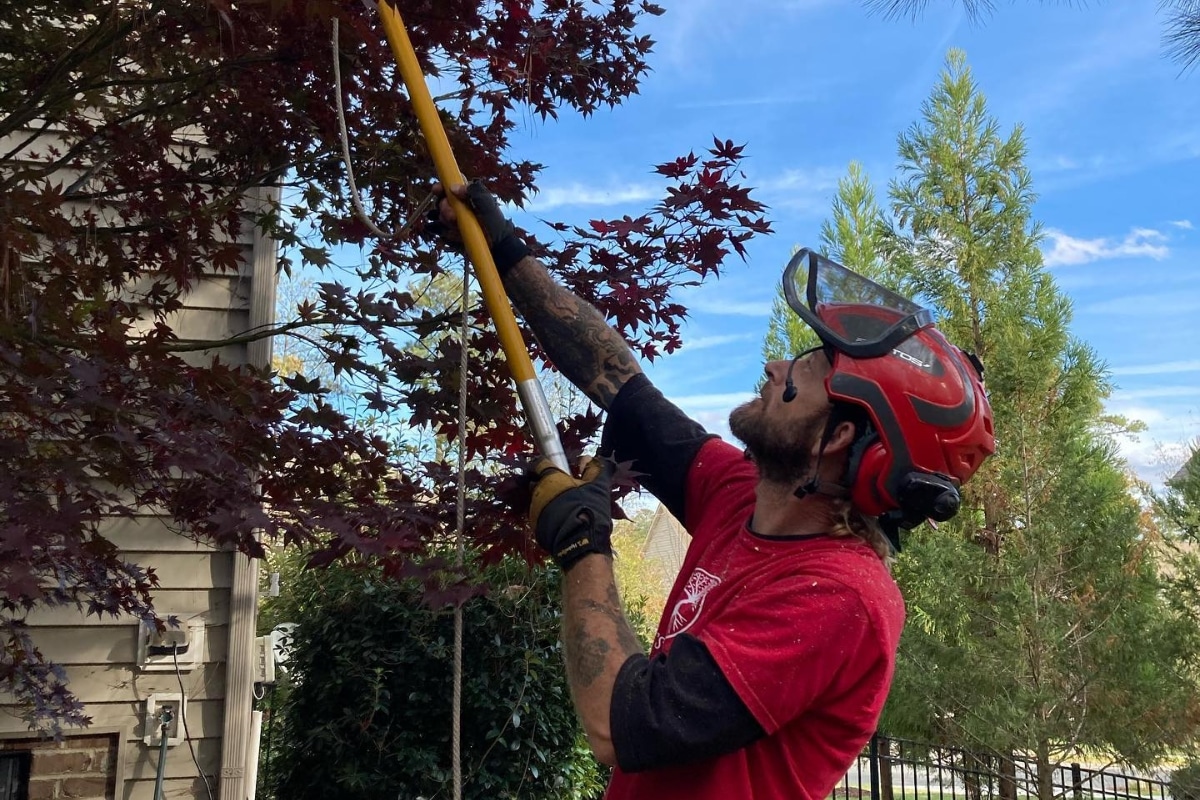 Local Tree Trimming & Pruning North Carolina Lubbers and Sons Tree Care