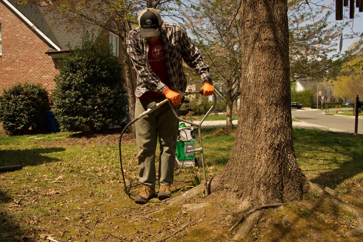 Plant Health Care North Carolina Services Lubbers and Sons Tree Care