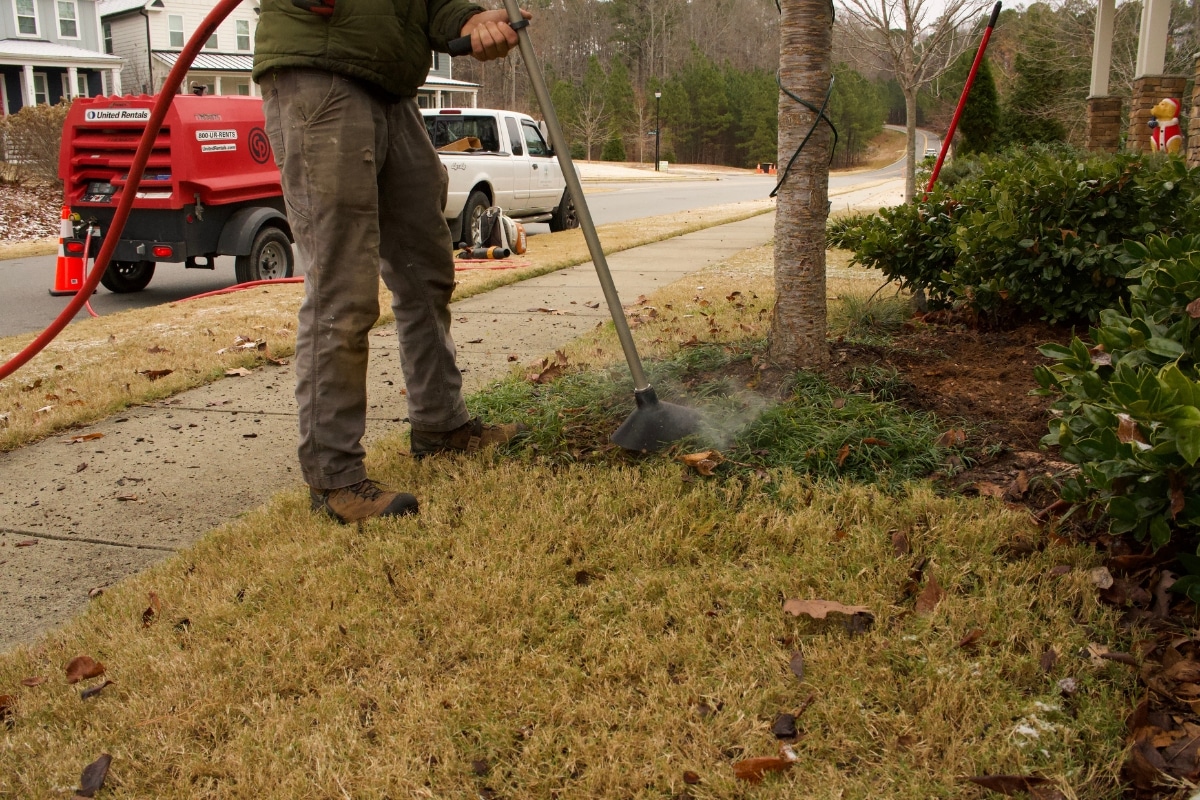 Professional Plant Health Care North Carolina Lubbers and Sons Tree Care