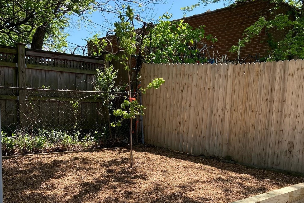 Professional Tree Planting Services in North Carolina Lubbers and Sons Tree Care Residential