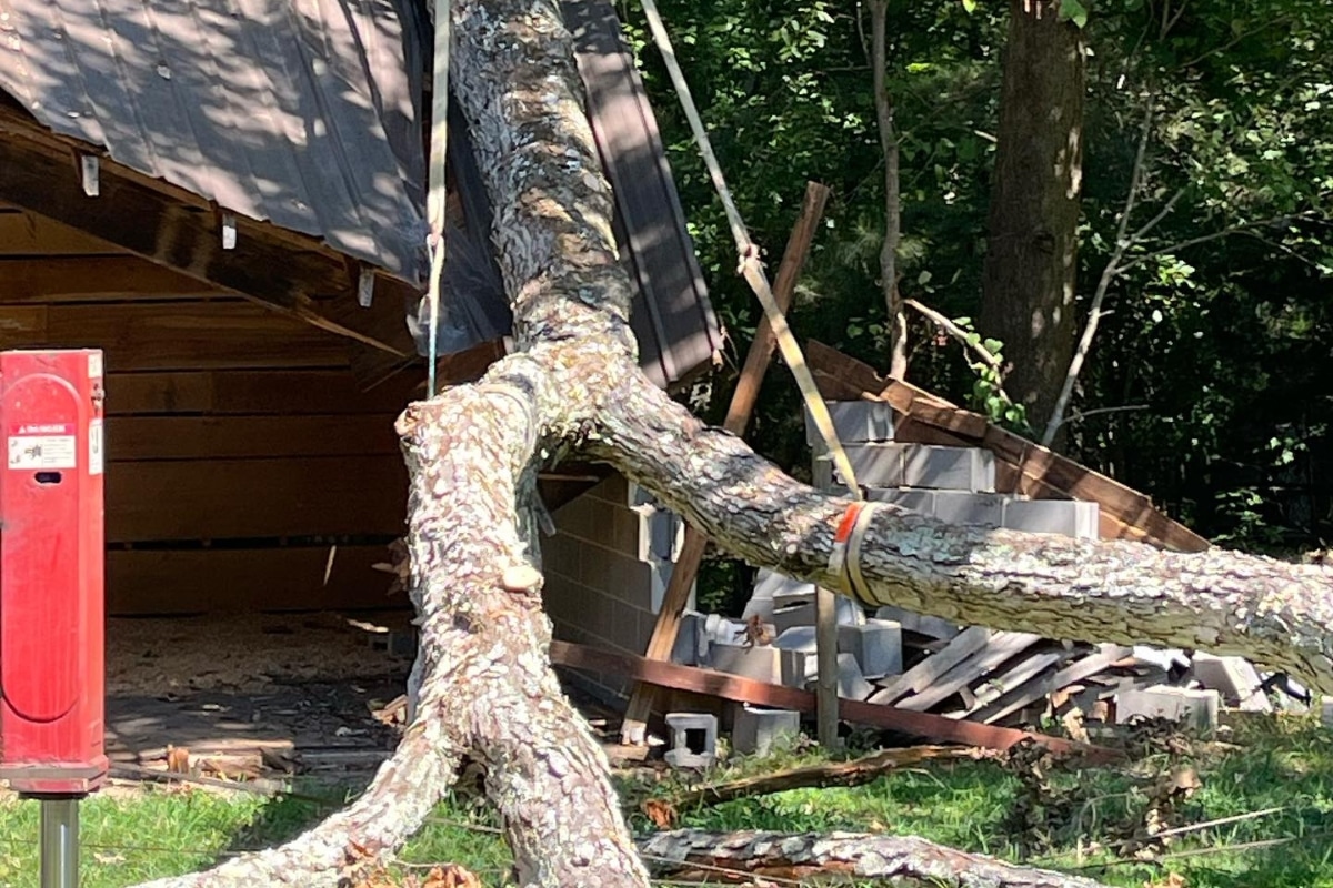 Residential Emergency Tree Removal in North Carolina Lubbers and Sons Tree Care