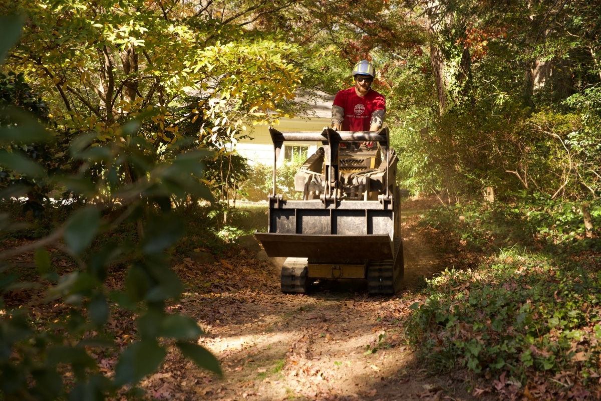Residential Space Removal in North Carolina Lubbers and Sons Tree Care