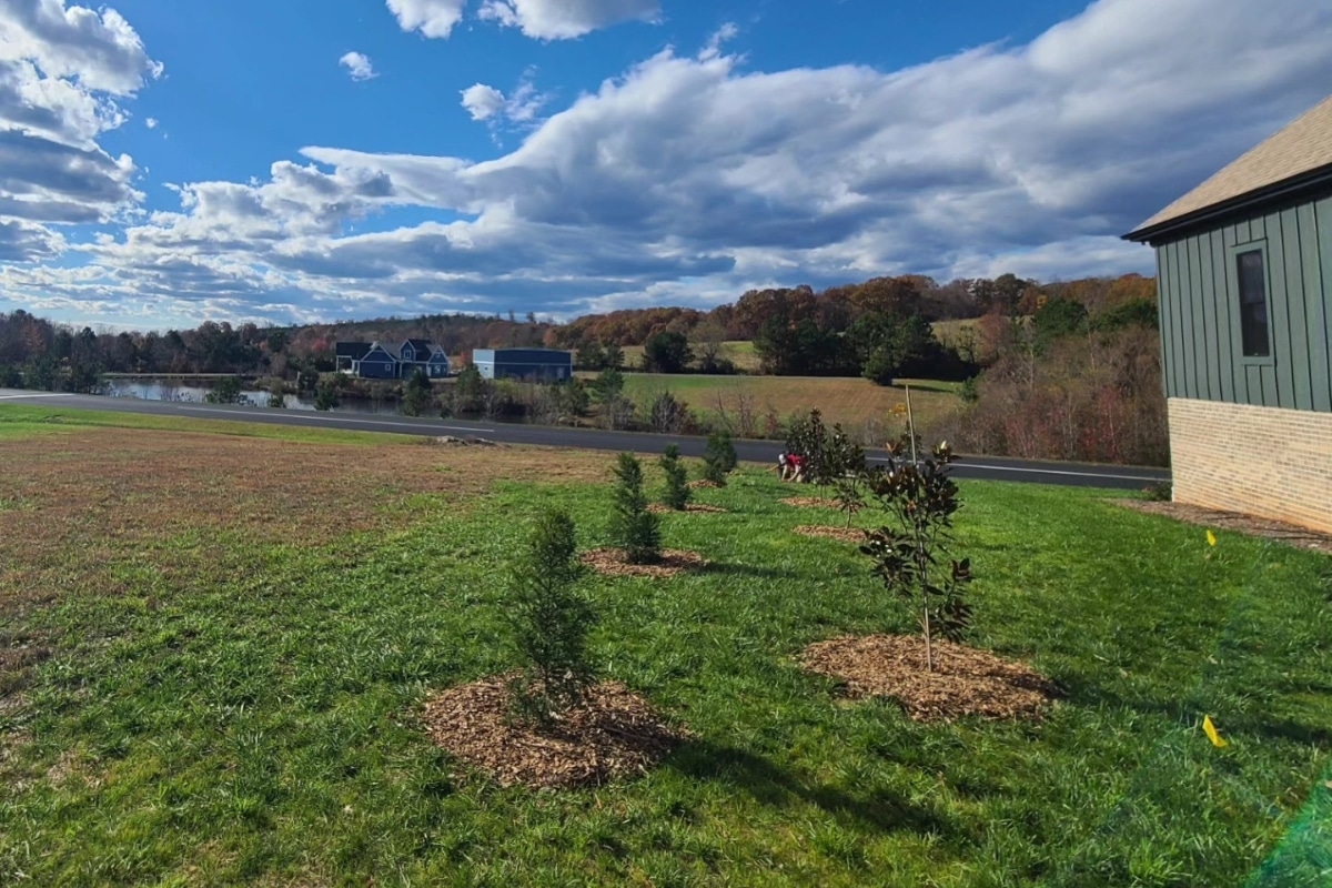 Tree Planting Services Commercial and Residential in North Carolina Lubbers and Sons Tree Care