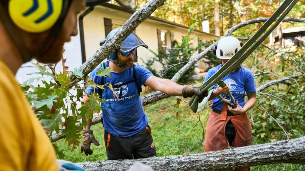 How to Know When a Tree Is Dangerous A Safety Guide for NC Homeowners Don’t Ignore the Signs That Your Tree May Be Hazardous Lubbers and Sons Tree Care North Carolina