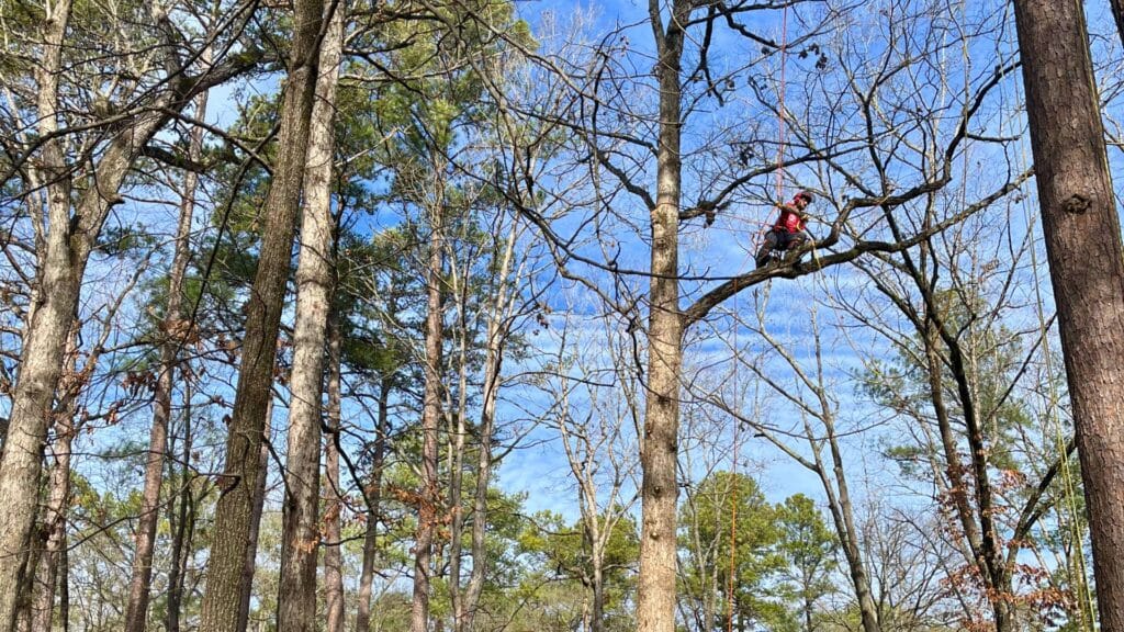 How to Prepare Your Trees for Hurricane Season in Central North Carolina Addressing Tree Risks On Your Property Before Hurricane Season Lubbers and Sons Tree Care North Carolina