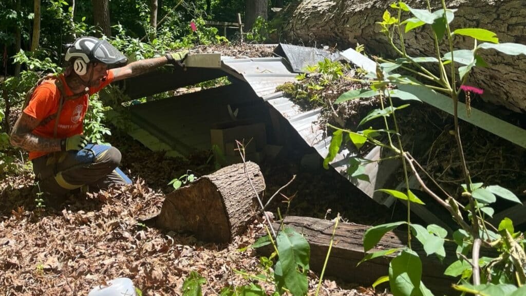 How to Prepare Your Trees for Hurricane Season in Central North Carolina Look Before You Act After The Storm Lubbers and Sons Tree Care North Carolina