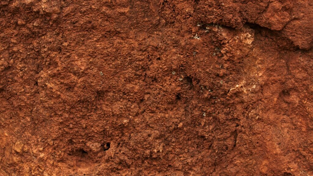 Soil Problems Under the Canopy Why NC's Clay Soil Can Be Hard on Trees Red Clay Soil Lubbers and Sons Tree Care North Carolina